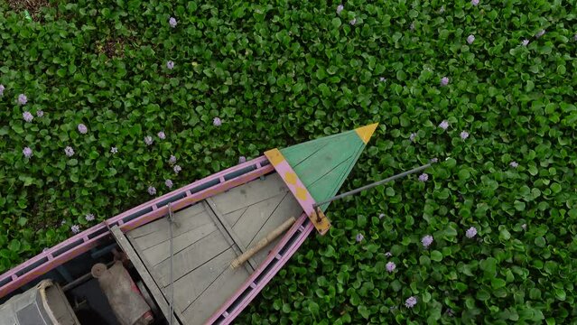 A part of a colorful wooden boat is visible on a river full of water hyacinth plants background. water hyacinth and flower background. 4k Video. 