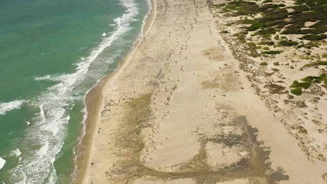 Seascape with tropical sandy beach and blue ocean. Mannar - Sri Lanka.