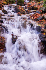 紅葉した落ち葉が岩の上に降り積もった川に水が流れている風景