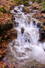 紅葉した落ち葉が岩の上に降り積もった川に水が流れている風景