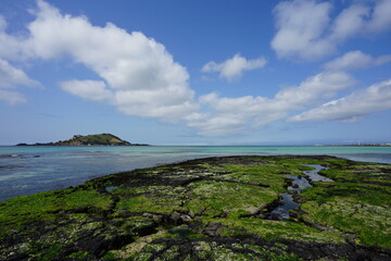 Fototapeta na wymiar mossy rock beach and island