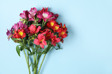 Bouquet of beautiful alstroemeria flowers on blue background, closeup