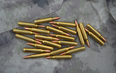 Rifle cartridges on a camouflage background. Top view