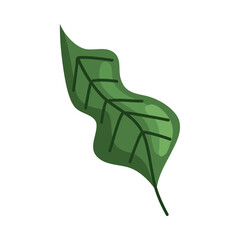 green leaf plant