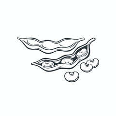 illustration of soya bean, vector art.