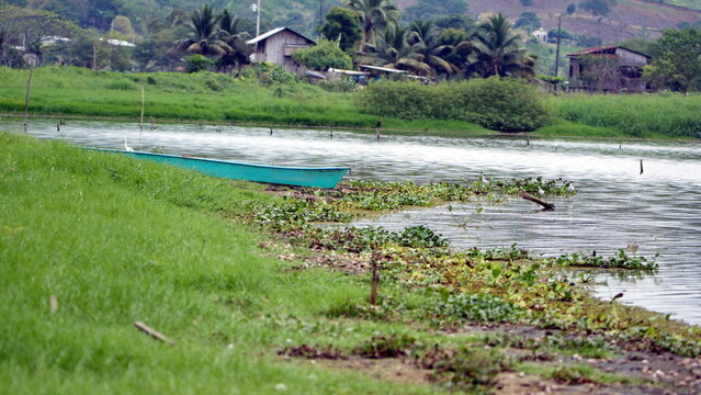 Canoe pulled up on the shore of a marsh in the La Segua Wetlands near Chone, Ecuador