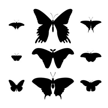 Set Of Butterfly Silhouettes