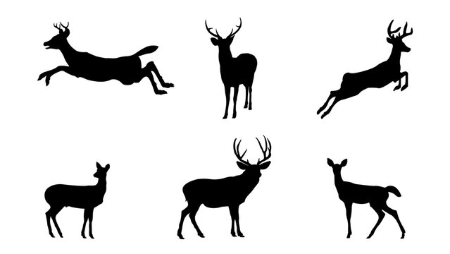 Set Of Deer Silhouettes