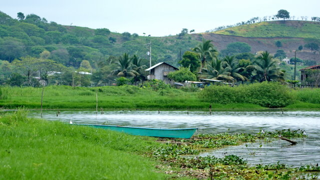 Canoe pulled up on the shore of a marsh in the La Segua Wetlands near Chone, Ecuador