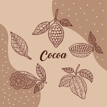 cocoa lettering with seeds