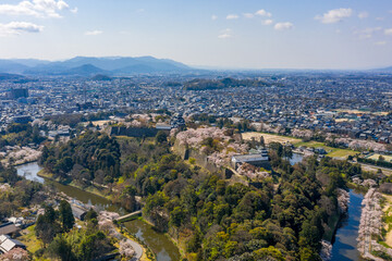 Hikone Castle Aerial View as Sakura Bloom in Gardens