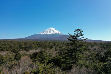 Mt Fuji and Forest of Aokigahara in Japan