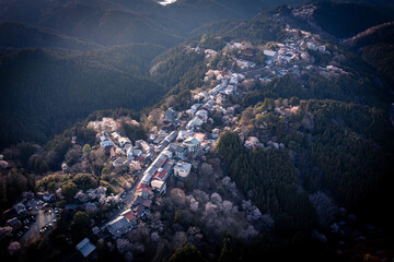 Historic Yoshino Town in Nara, Aerial View During Spring Hanami Season