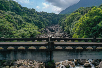 Stone Bridge over Forest River of Yakushima Japan
