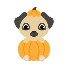 Cute little dog sitting in a pumpkin. Cartoon animal character for kids t-shirts, nursery decoration, baby shower, greeting card, invitation. Vector stock illustration
