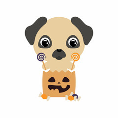 Cute Halloween dog sitting in a trick or treat bag with candies. Cartoon animal character for kids t-shirts, nursery decoration, baby shower, greeting card, invitation. Vector stock illustration