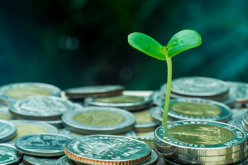 financial concept, stack of coins