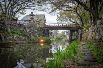 Fototapeta premium Spring Along the Omihachiman Moat, Shiga Prefecture Japan