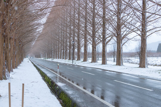 Long Empty Road in Shiga Countryside of Japan in Winter