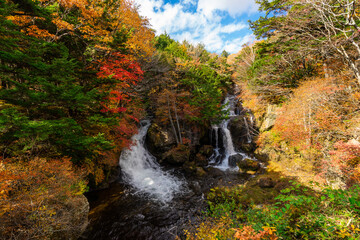 Beautiful waterfall in the autumn forest. Ryuzu falls at Nikko, Japan.