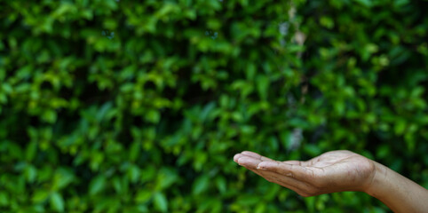 Technology, hand holding with environment Icons over the Network connection on green background