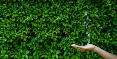 Technology, hand holding with environment Icons over the Network connection on green background