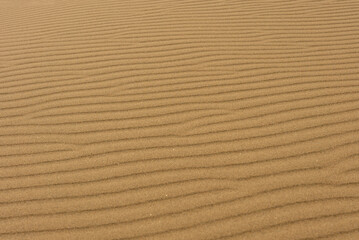 Fototapeta na wymiar Sand Patterns of Tottori Sakyu, Japan