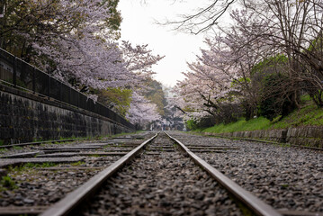 Fototapeta premium Old Train Tracks of Keage Incline in Spring, Kyoto Japan