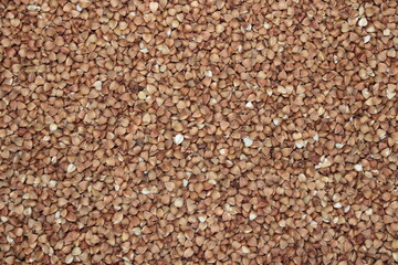 Buckwheat