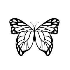 Graphic black Butterfly isolated on white background. Vector illustration
