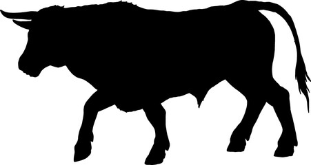 Isolated Bull Silhouette, Fighting Bull Silhouette in Vector