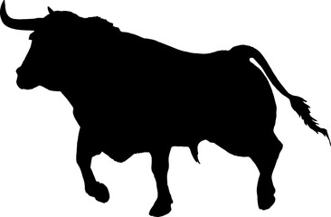 Isolated Bull Silhouette, Fighting Bull Silhouette in Vector