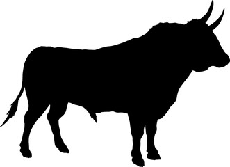 Isolated Bull Silhouette, Fighting Bull Silhouette in Vector