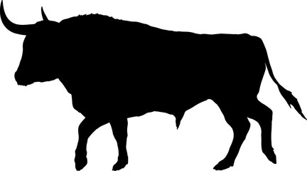 Isolated Bull Silhouette, Fighting Bull Silhouette in Vector