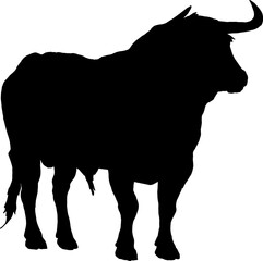 Isolated Bull Silhouette, Fighting Bull Silhouette in Vector