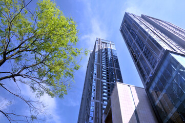 Naklejka premium modern office buildings