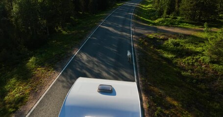 Aerial view of a reindeer running on a road in front of a RV in Arctic Lapland