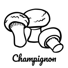 Champignon line icon. Vector mushroom illustration isolated on white background for book, market, restaurant menu, package design.