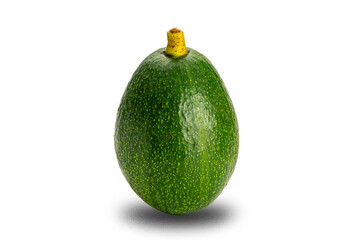 Single green fresh avocado with stalk isolated on white background with clipping path.