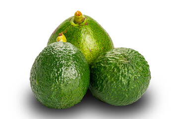 Group of fresh green avocadoes with stalk isolated on white background with clipping path.
