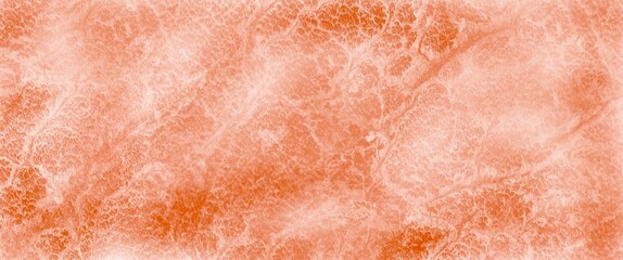 Fototapeta premium brown fur texture
