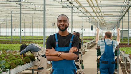 Fototapeta premium Portrait of smiling african american man in modern greenhouse with workers pushing crates of organic food for delivery. Bio vegetables farmer posing happy while pickers gather bio vegetables.