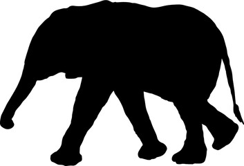 Obraz na płótnie Canvas Isolated Elephant Silhouette in Vector