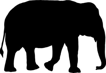 Isolated Elephant Silhouette in Vector