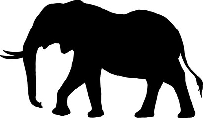 Isolated Elephant Silhouette in Vector