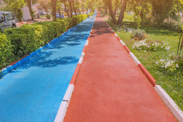 Painted blue Bicycle lane and red walking path in city park. Eco environment and green and healthy transport. Bike path