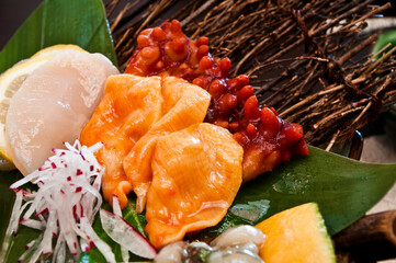 sea ​​squirt Sashimi