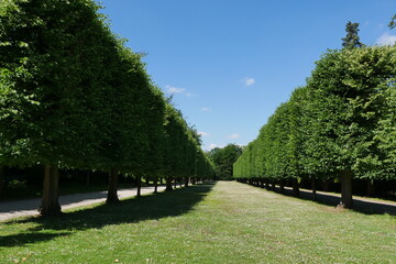 Schlossgarten Schloss Bentrath in D&uuml;sseldorf