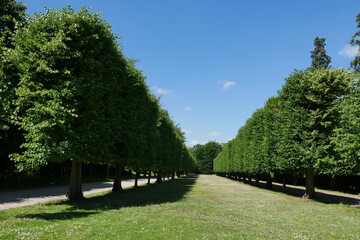 Schlossgarten Schloss Benrath