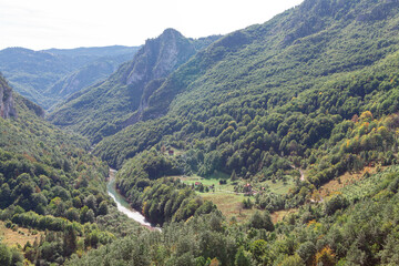 Naklejka na ściany i meble Montenegro Tara river valley view from above 